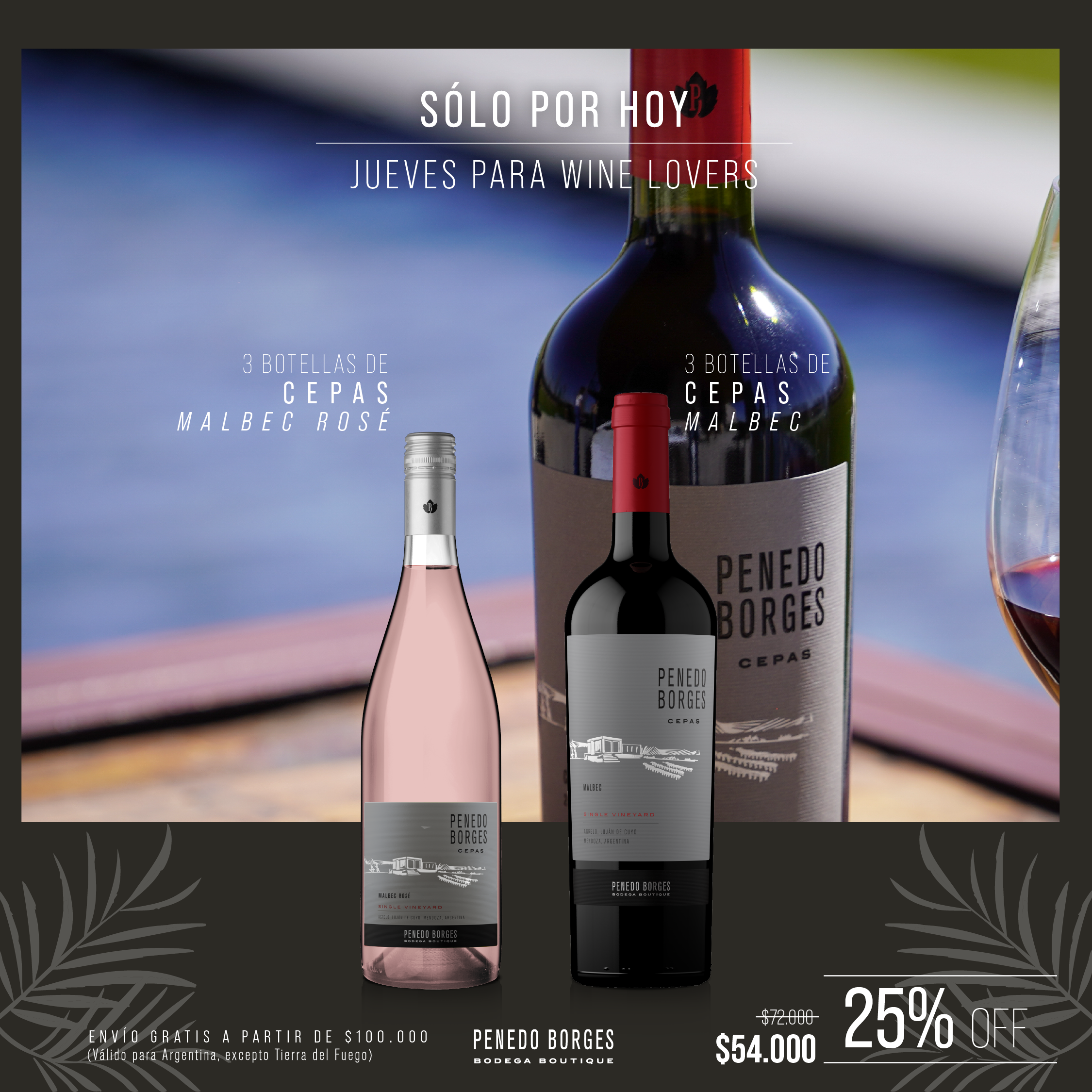 Jueves para Winelovers: 25% OFF!