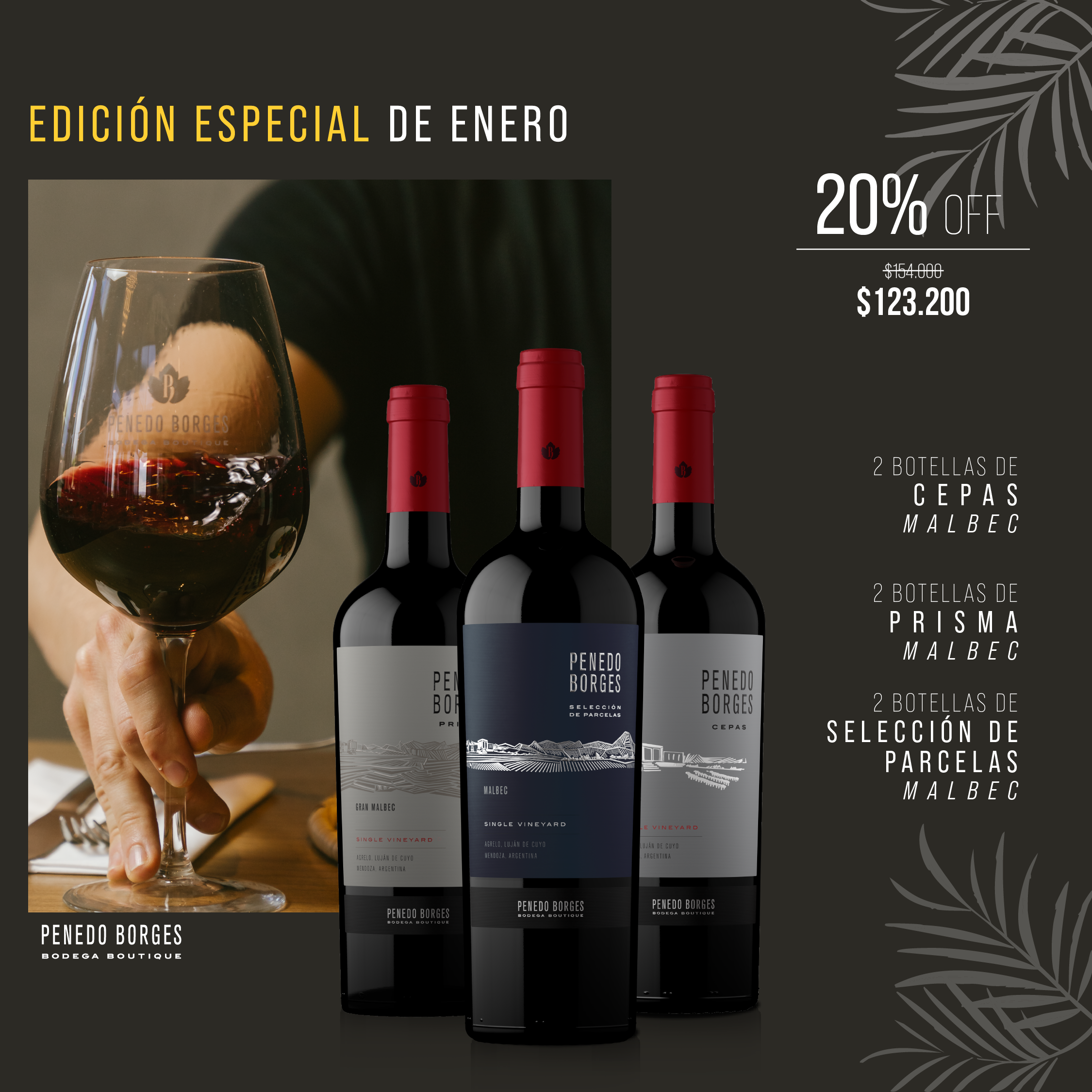 Edición Especial Enero: 20% OFF!