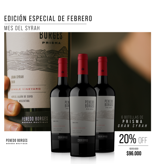 Edición Especial de Febrero – Mes del Syrah