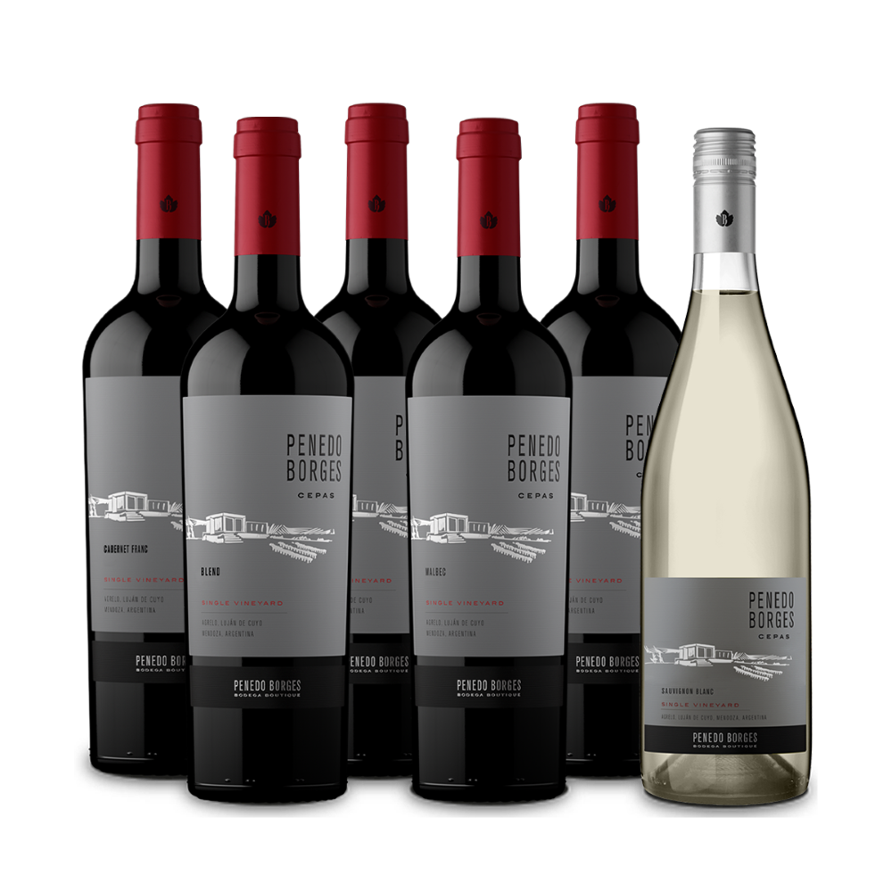 Descubrimiento Penedo Borges