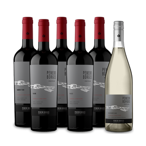 Descubrimiento Penedo Borges