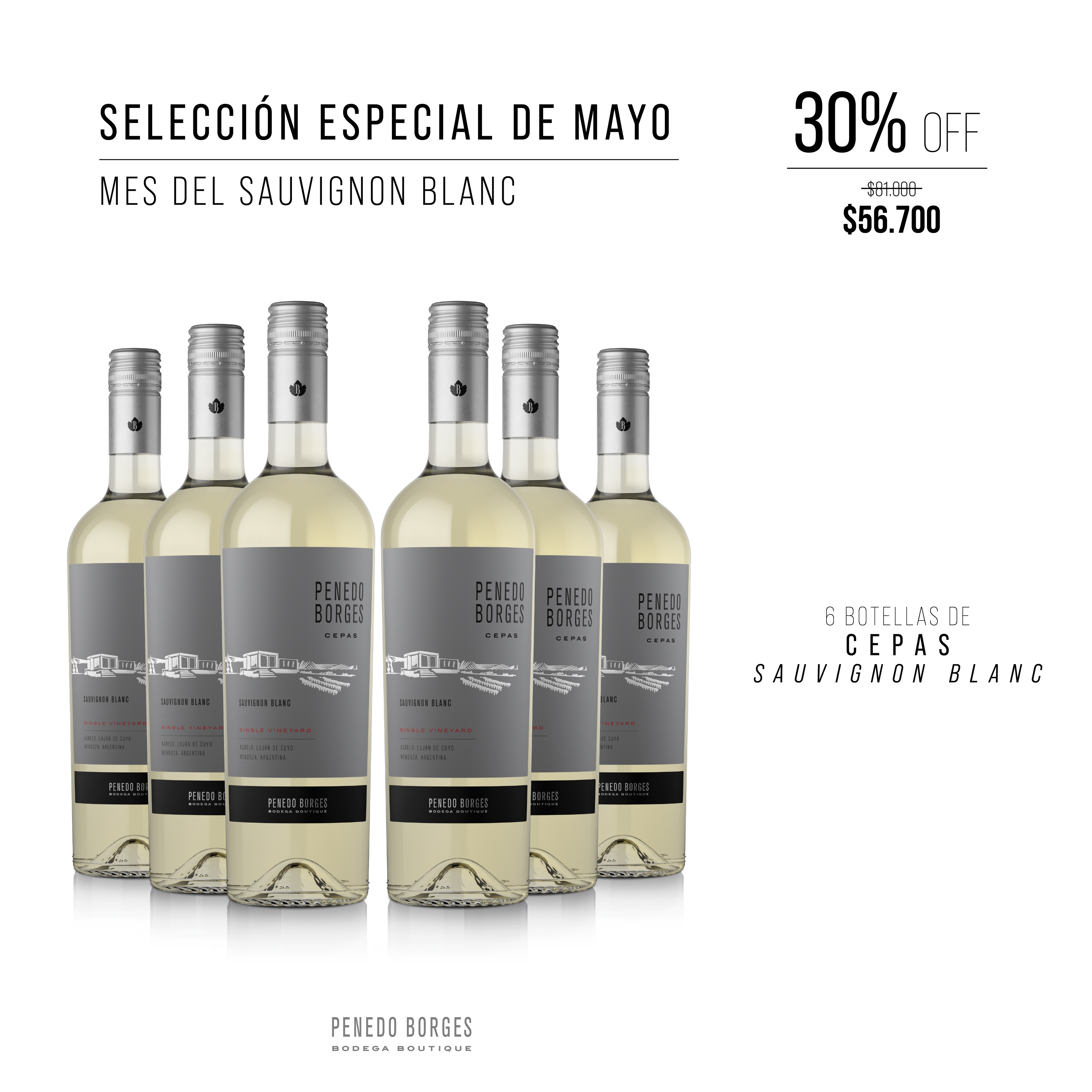 Penedo Borges Cepas Sauvignon Blanc - Mes del Sauvignon Blanc: 30% OFF!