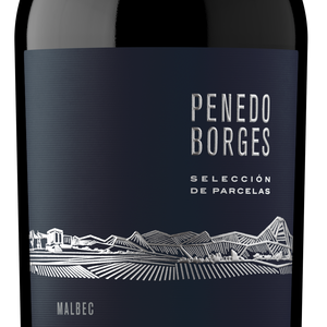 Penedo Borges Selección de Parcelas Malbec 2021 - Botella 750 ml